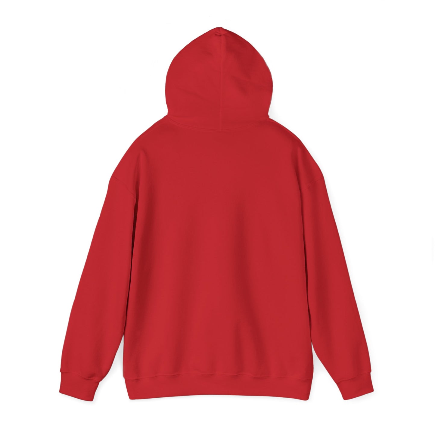 Soar- Hooded Sweatshirt