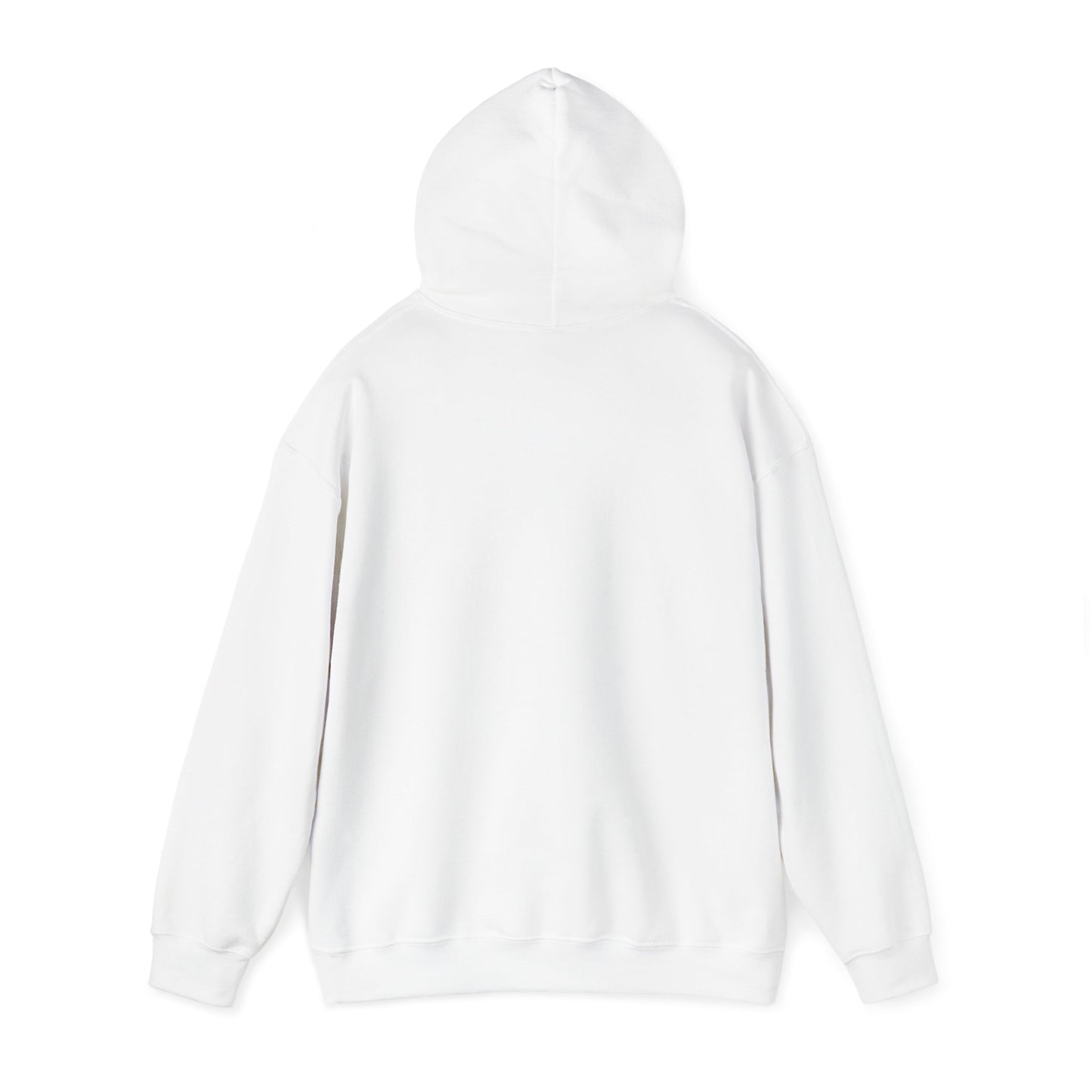 Soar- Hooded Sweatshirt