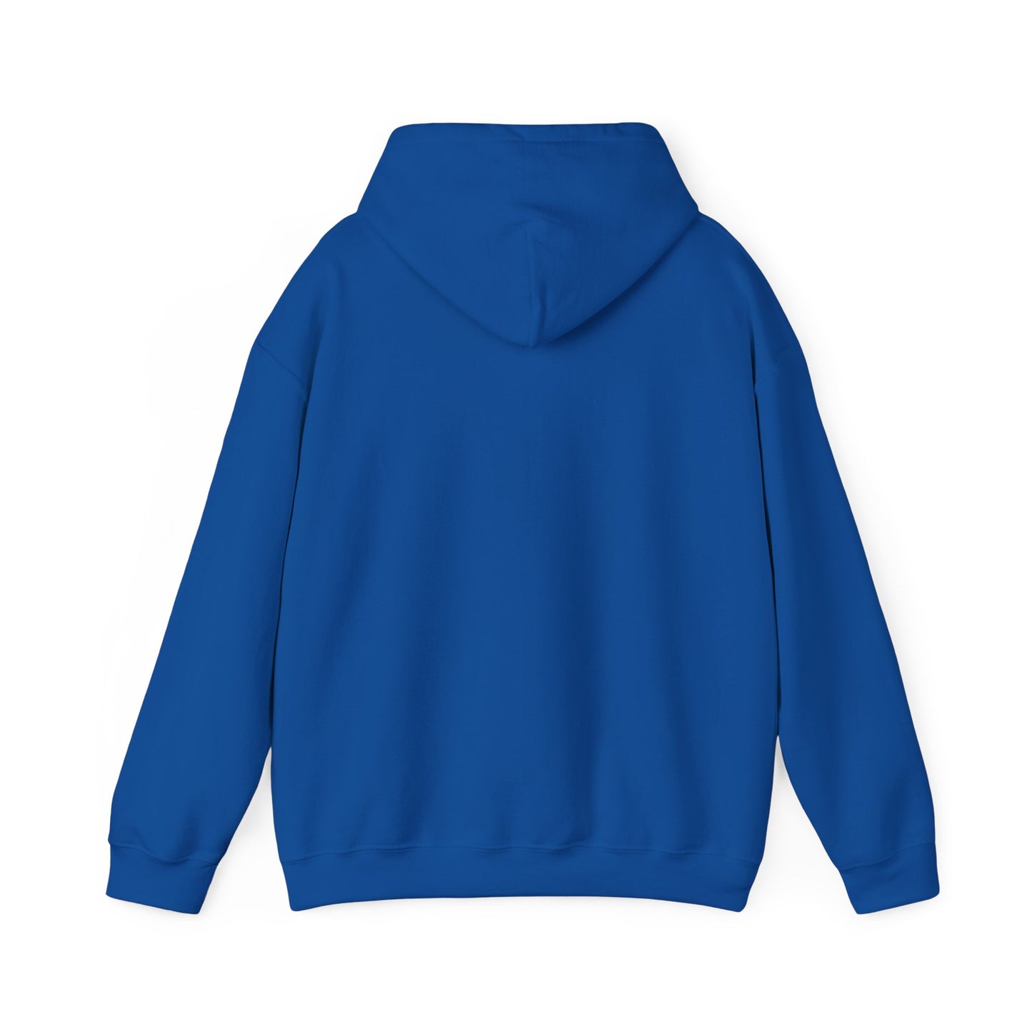 Soar- Hooded Sweatshirt