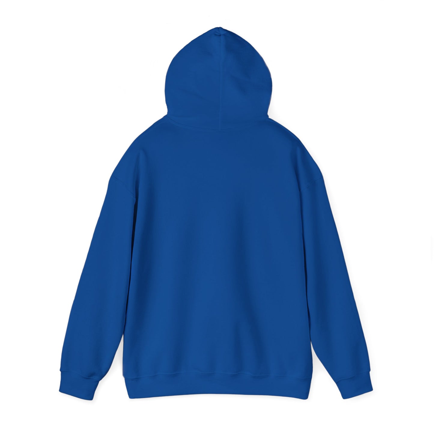 Soar- Hooded Sweatshirt
