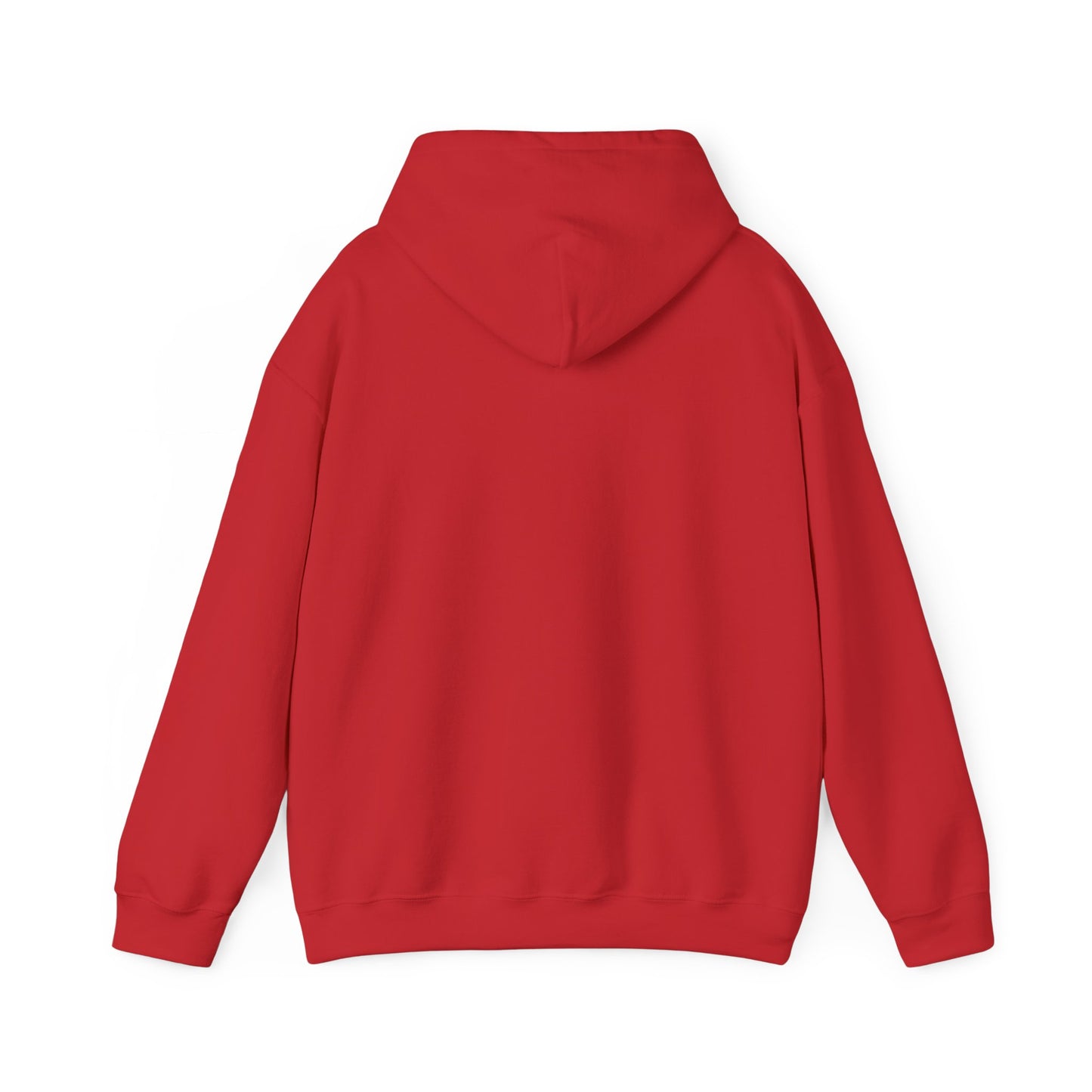 Soar- Hooded Sweatshirt