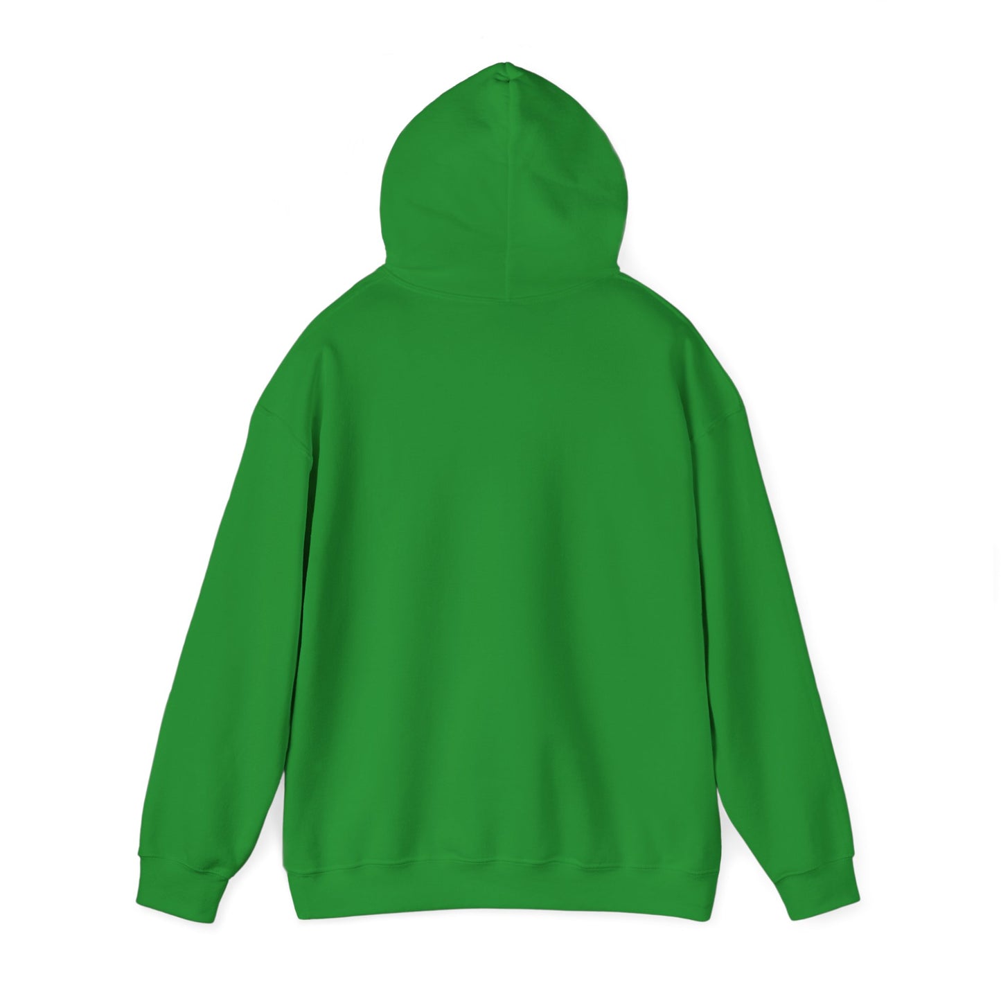 Soar- Hooded Sweatshirt