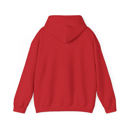 Soar- Hooded Sweatshirt