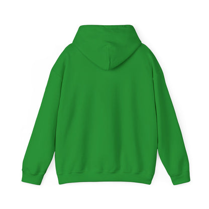 Soar- Hooded Sweatshirt
